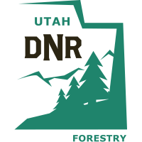 DNR Forestry